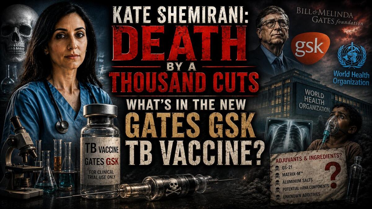 Kate Shemirani & Stuart Wilkie: Death By A Thousand Cuts - What's In The New Gates GSK TB Vaccine? (Video)